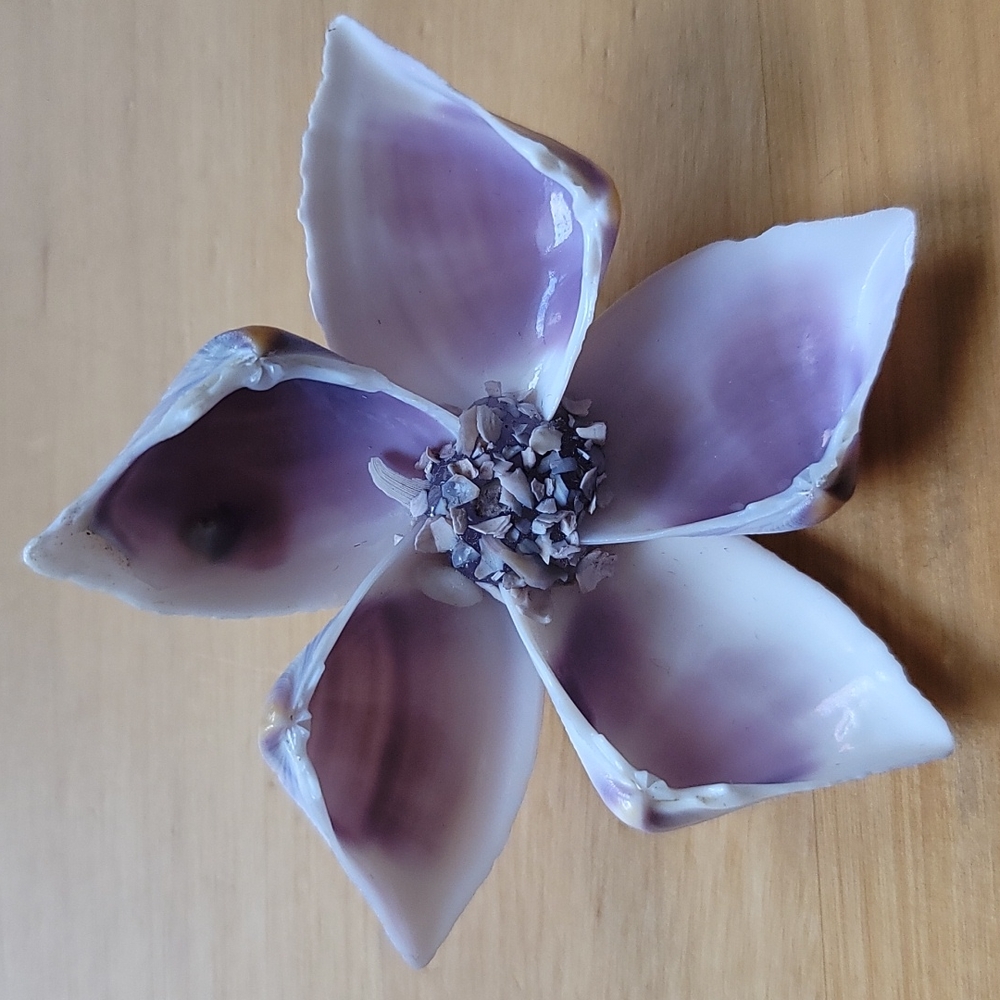 Handmade brooche with seashells NWOT